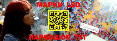 молекула духа Кингисепп