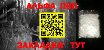 молекула духа Кингисепп