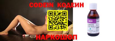 молекула духа Кингисепп